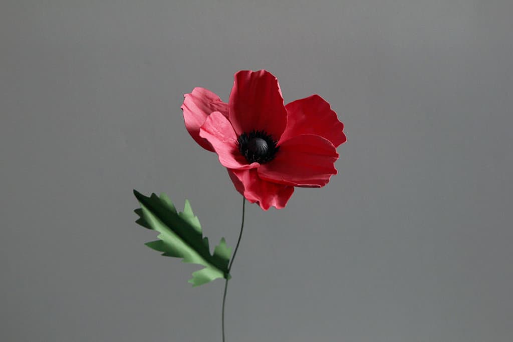 3D Paper Poppy