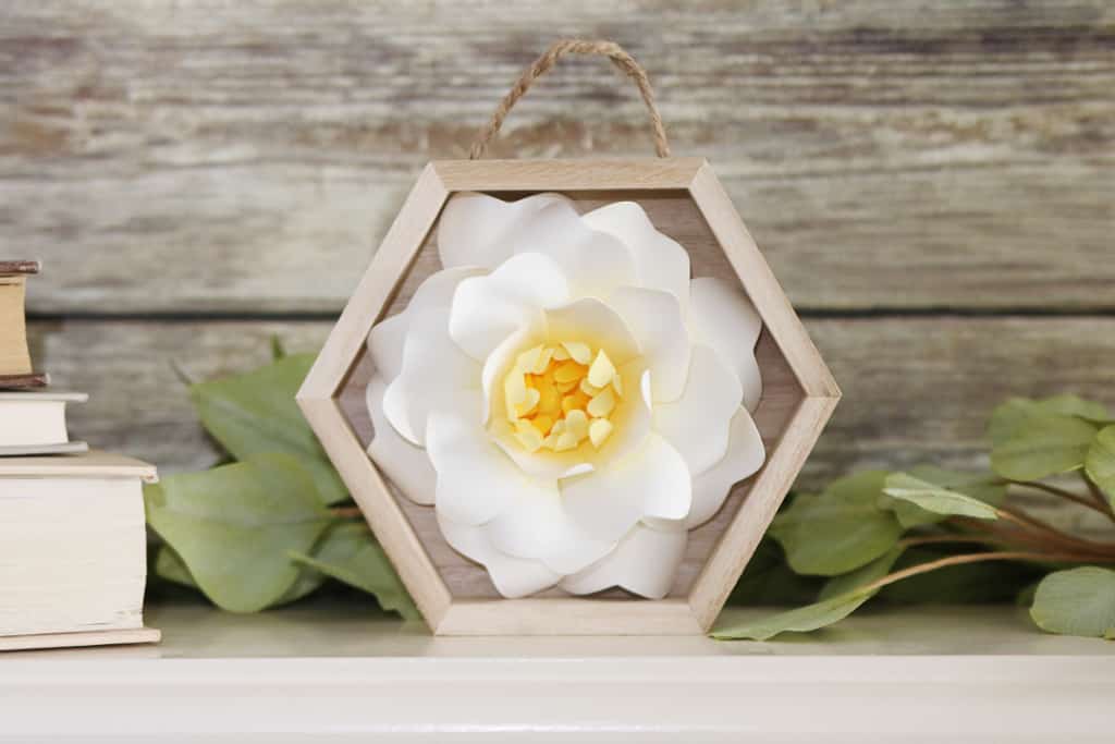 Floral Shadow Box Display