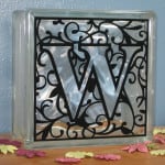 Fuzzy Vinyl Monogram