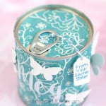 Secret Sister Pop Top Can for Girls Camp