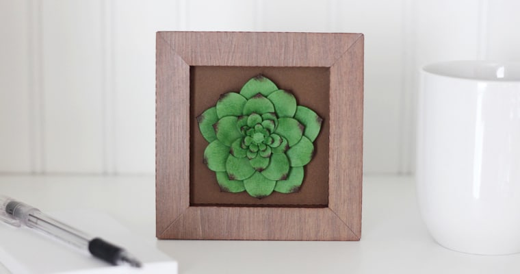 Framed Paper Succulent Class
