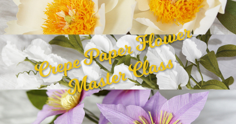 Enrollment Open – Crepe Paper Flowers Masterclass