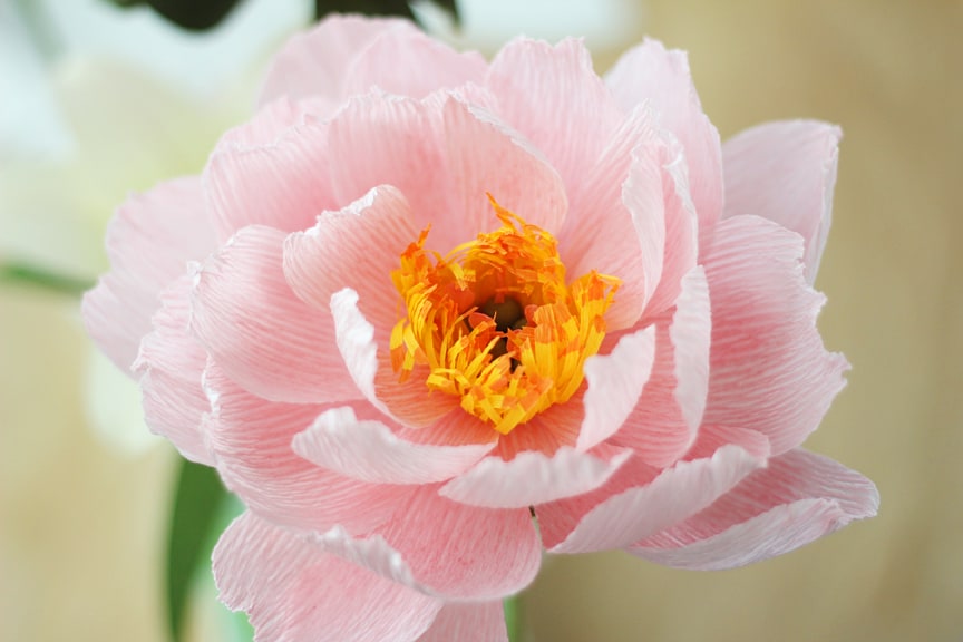 Lia Griffith's Master Class - anemone wreath